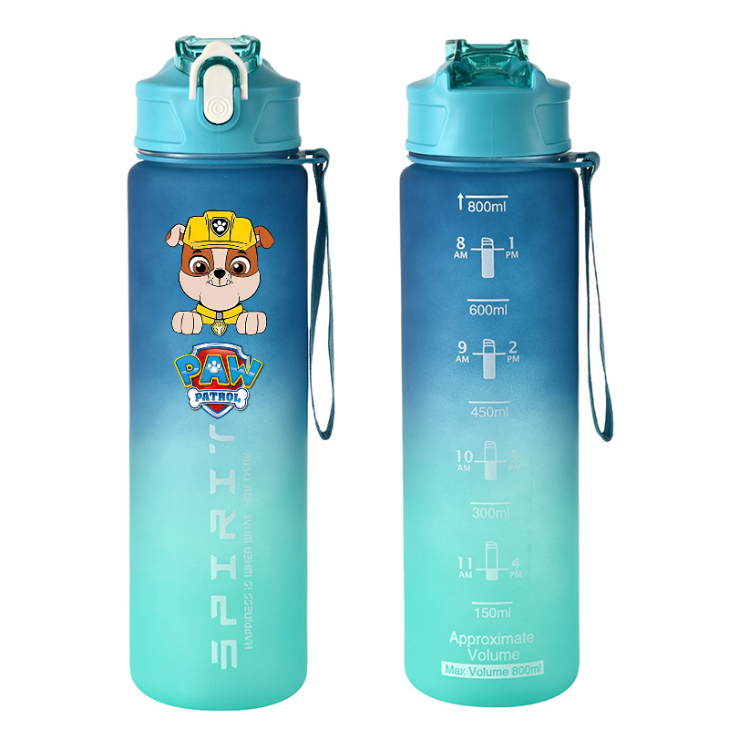 800ml PAW Patrol Sports Water  - Kids Outdoor Movies reseña y precio