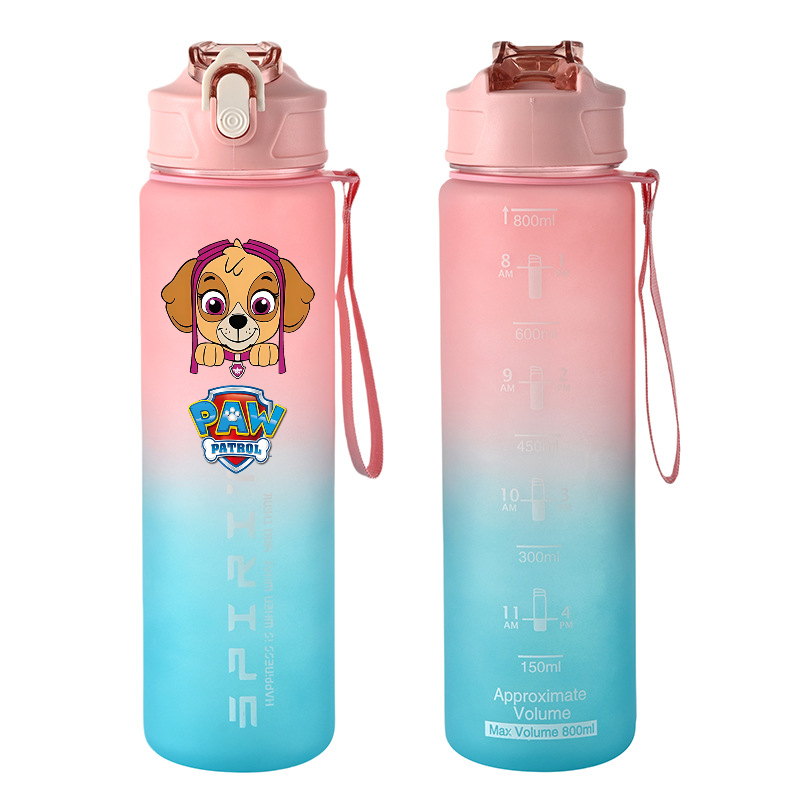 800ml PAW Patrol Sports Water  - Kids Outdoor Movies reseña y precio