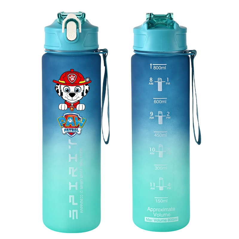 800ml PAW Patrol Sports Water  - Kids Outdoor Movies reseña y precio